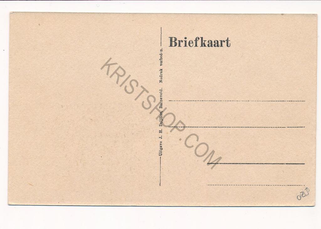 KRST003-5523_1.jpg Barneveld - J.H.Deijlius - Het Hoge Huis [003-5523 - Afbeelding 2