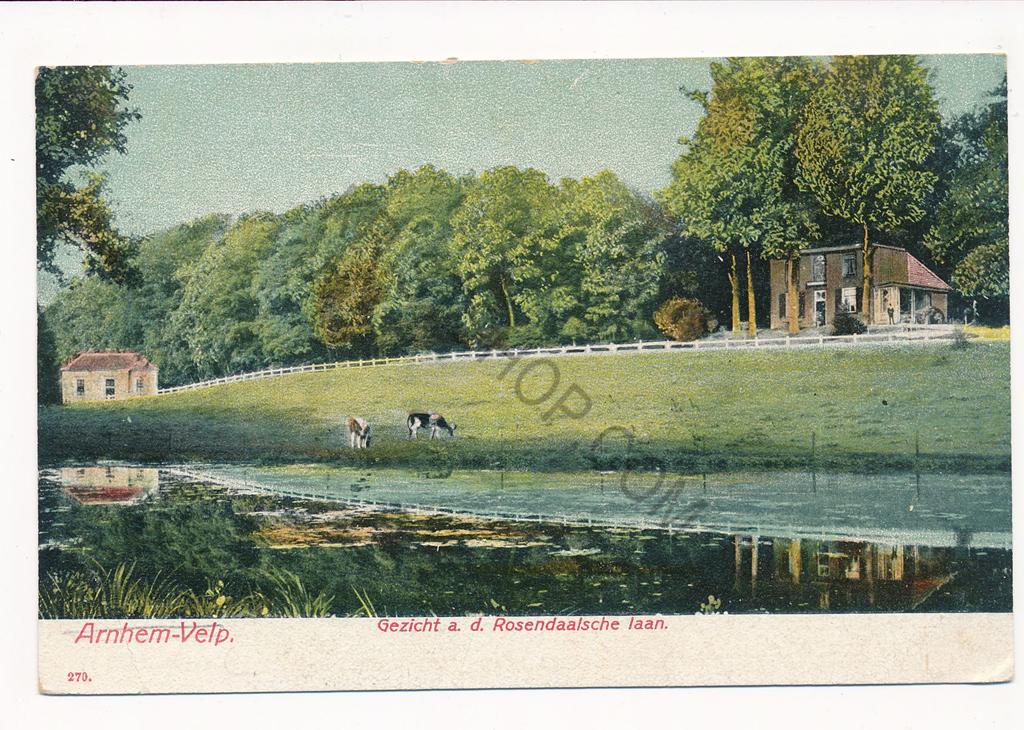 KRST003-5659_0.jpg Arnhem-Velp - Gezicht aan de Rosendaalsche Laan [003-5659