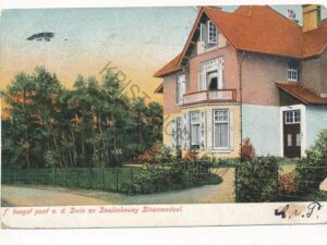 Bloemendaal - Hoogste punt v.d. Duin en Daalscheweg [003-5676
