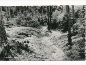 Holten - Niemendal [003-5717