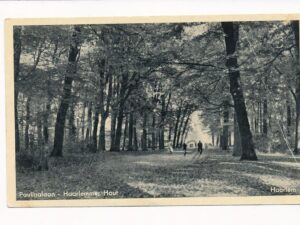 Haarlemmer Hout - Paulina Laan [003-5721