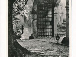 s Heerenberg - Toegangspoort Het Huis Bergh [003-5807