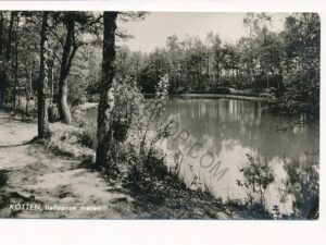 Kotten - Italiaanse meren [003-5855