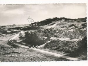 Groet - Rijwielpad door de Duinen [003-5896